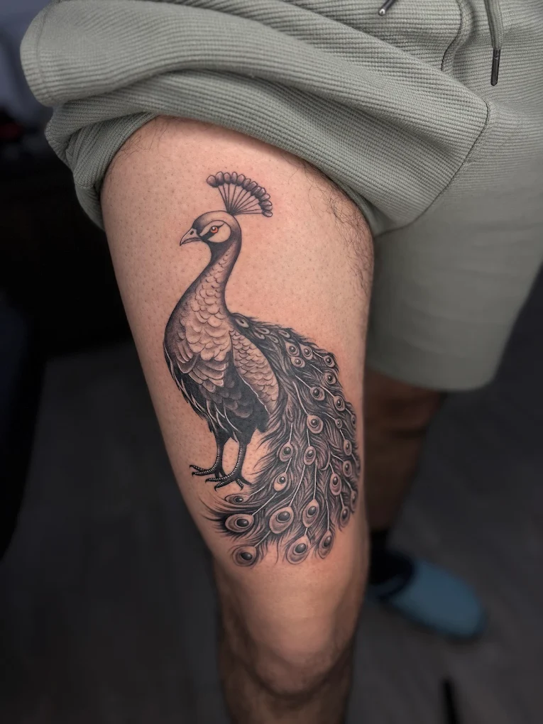peacock tattoo designs at tattoo villa